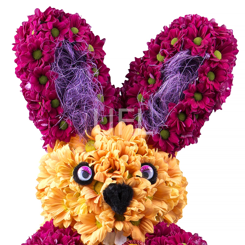  Bouquet Colorful rabbit
													
