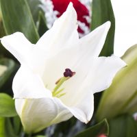  Bouquet Emerald tenderness Bath
														