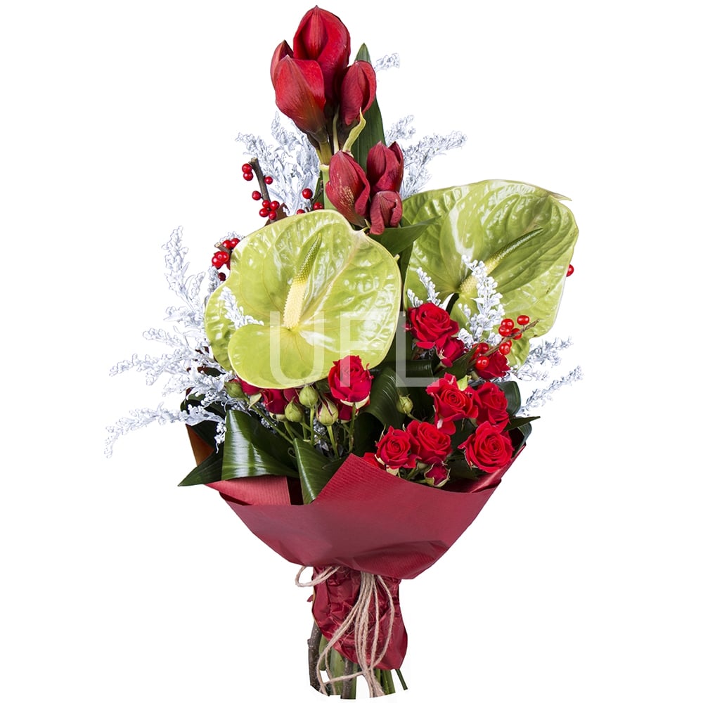 Amor, amor 6612 грн