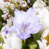  Bouquet Spring's Tale Atyrau
														