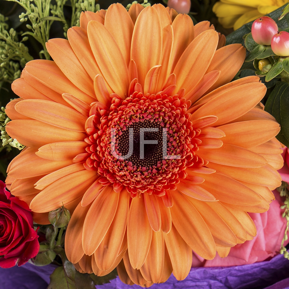  Bouquet Colorful assortment
													