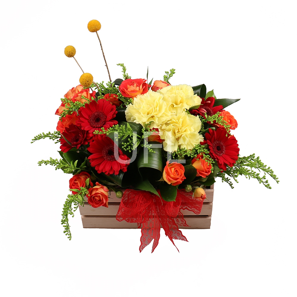  Bouquet Scarlet Velvet
													