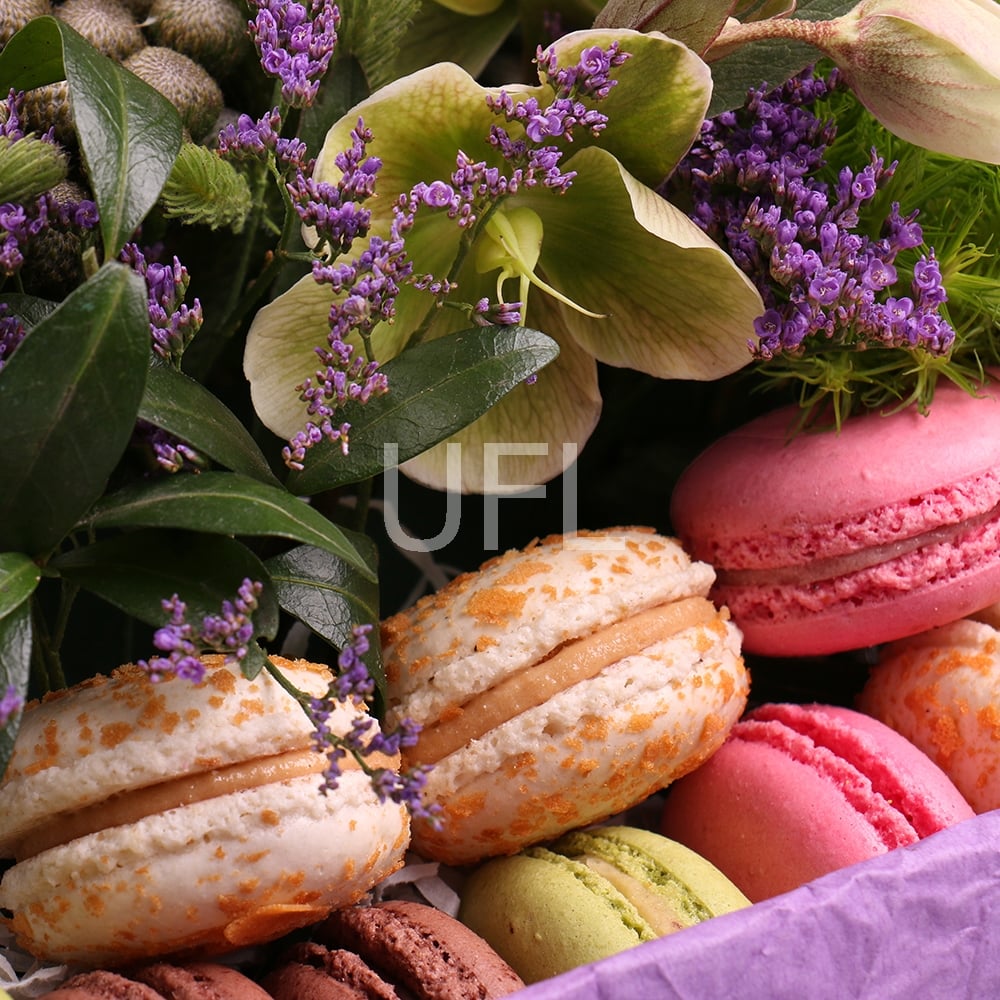 Macaroon Paradise 0 €