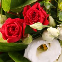Букет квітів Вишуканий  Абердин (Великобританія)
														