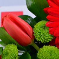 Flowers «DeLuxe» (wholesale) Lutsk