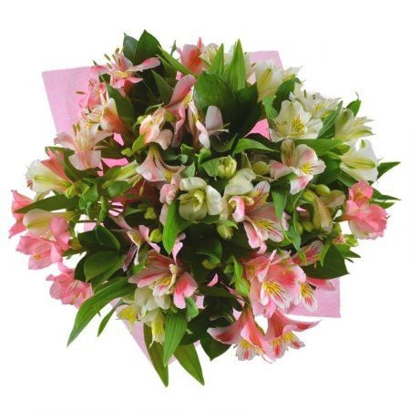 Spring tenderness (wholesale)