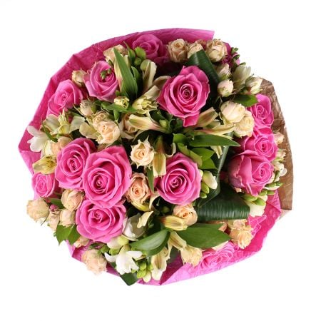 Melody of Roses 227 €