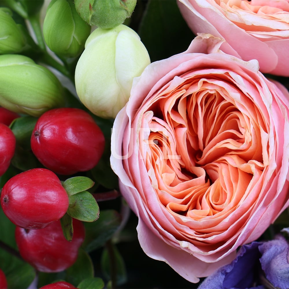  Bouquet Jane Austin
													