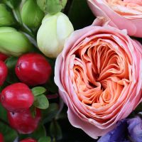  Bouquet Jane Austin Airlie Beach
														