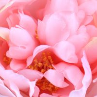 Artificial peony pink