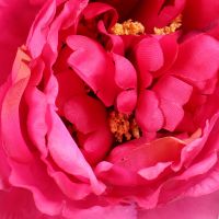 Artificial peony crimson Rishon LeZion