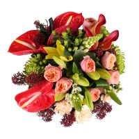  Bouquet Ambrosia placer Smarhon
														