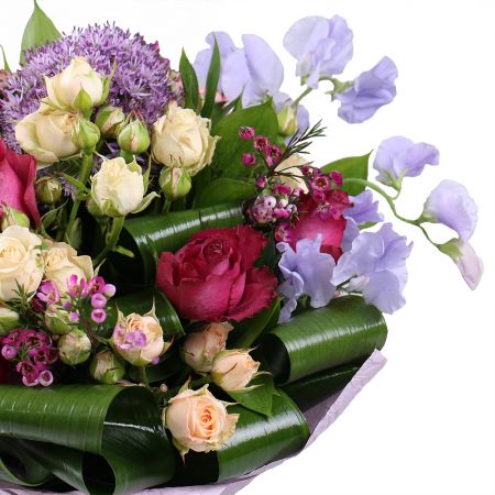 Lilac daybreak 0 €
