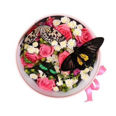 Box with butterflies