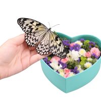 Сердце с бабочками