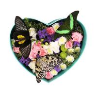 Heart with butterflies