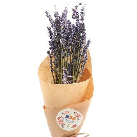 Lavander 0 $