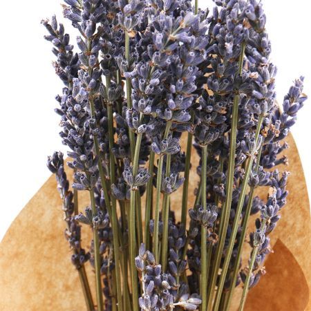 Bouquet of flowers Lavander
													