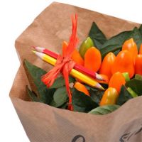 Bouquet of flowers Capsicum Mariupol (delivery currently not available)
														