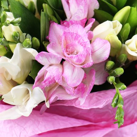 Fountain of tenderness 138 €