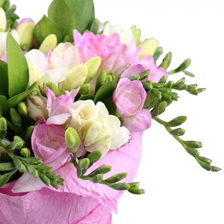 Fountain of tenderness 138 €