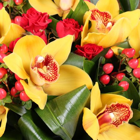 Flower bouquet Dance 0 $