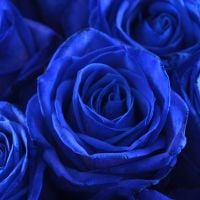 Букет Поштучно синие розы