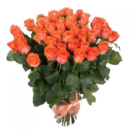 Coral roses by the piece 0 €