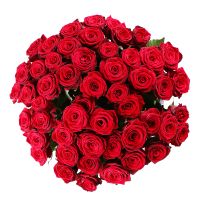 50 red roses Rogaska Slatina