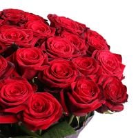 50 red roses Rogaska Slatina