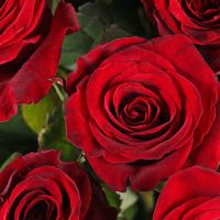 Букет цветов 15 роз Костешты