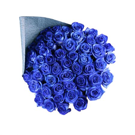 Из 51 синей розы