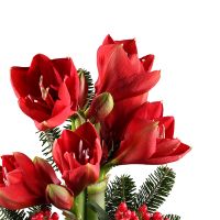 Bouquet of flowers «Элегантный» Alma-Ata
														