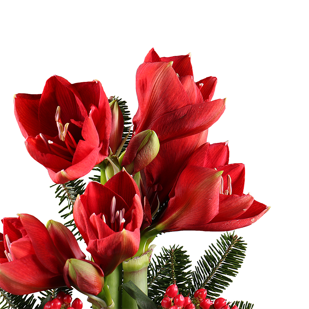 Bouquet of flowers «Элегантный»
													