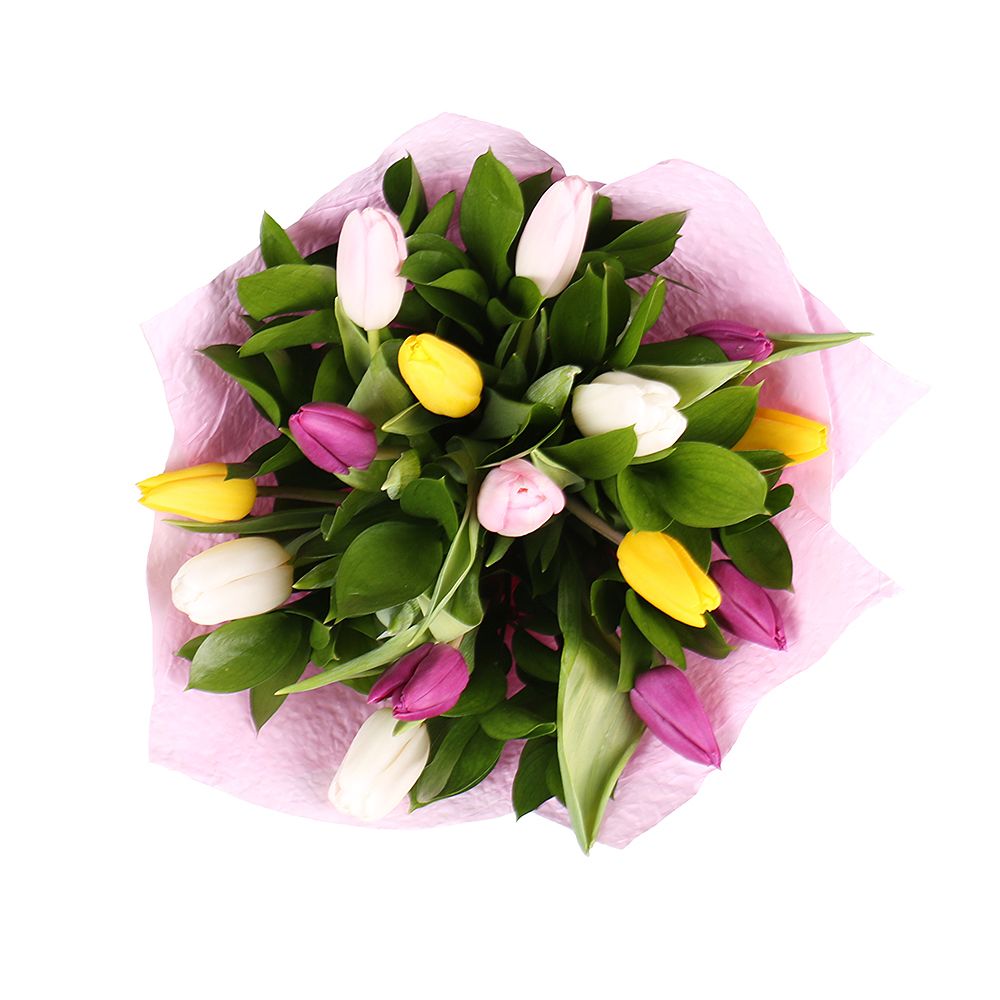 15 multi-colored tulips