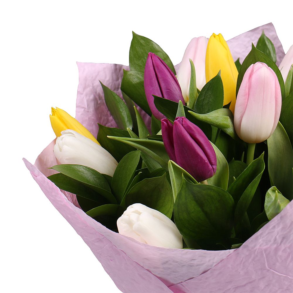 15 разноцветных тюльпанов