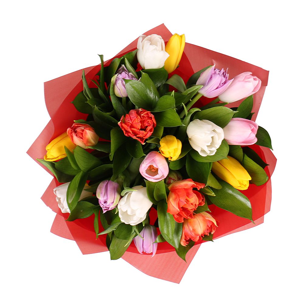 19 multi-colored tulips