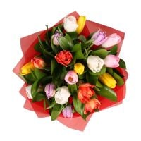 Букет 19 разноцветных тюльпанов