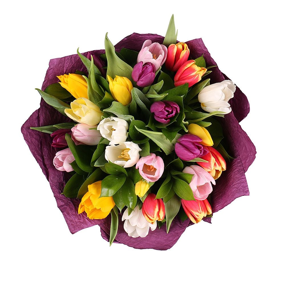 25 multi colored tulips