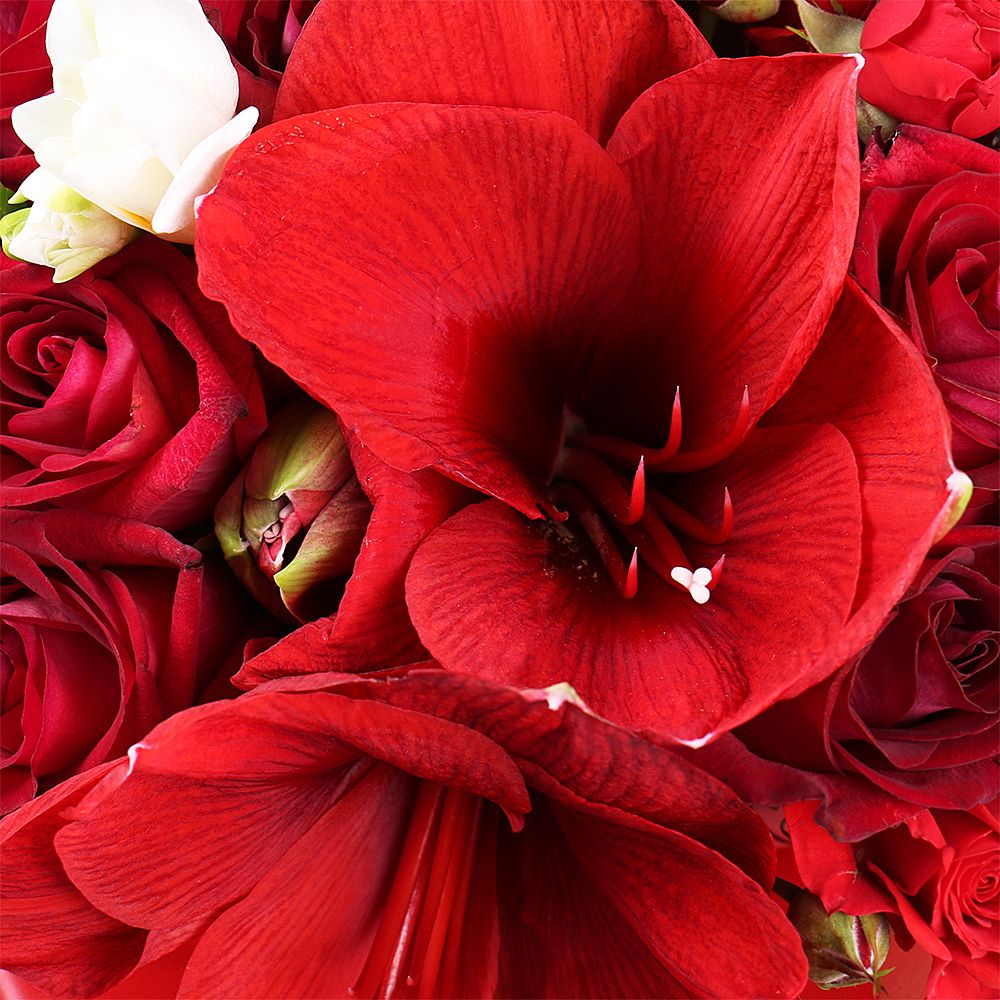 Bouquet of flowers «Amur» 
													