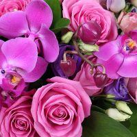 Flower box Famingo Kat