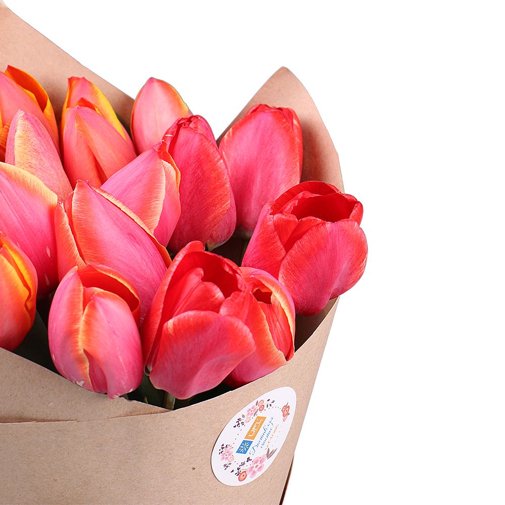19 red tulips