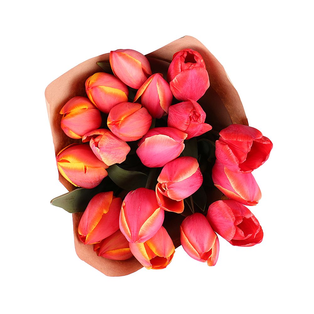 19 красных тюльпанов