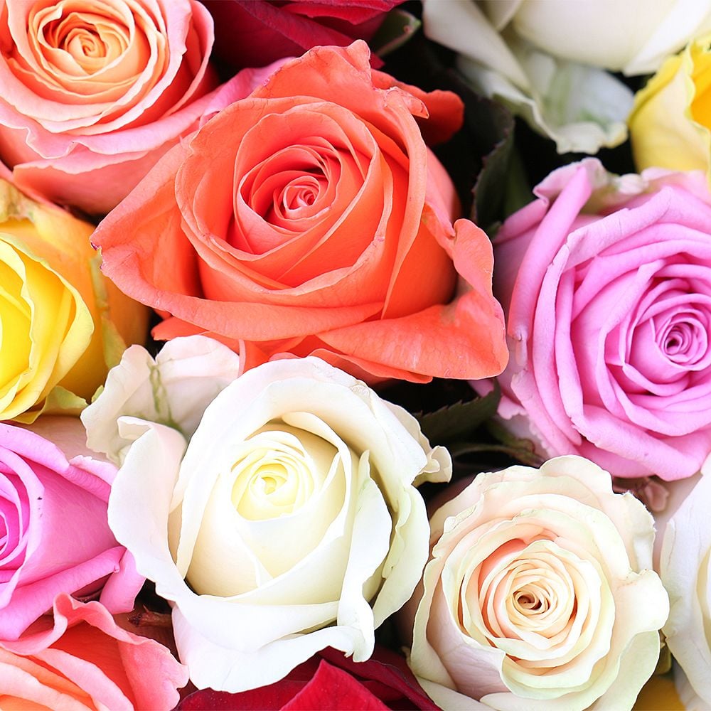 175 разноцветных роз