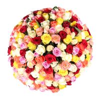 Шикарний букет квітів 175 різнокольорових троянд