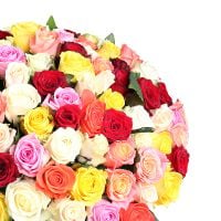 175 разноцветных роз