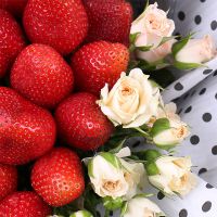 Strawberry and roses Uzhgorod