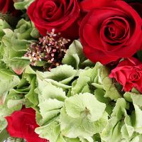  Bouquet Red dreams Tel Aviv
														