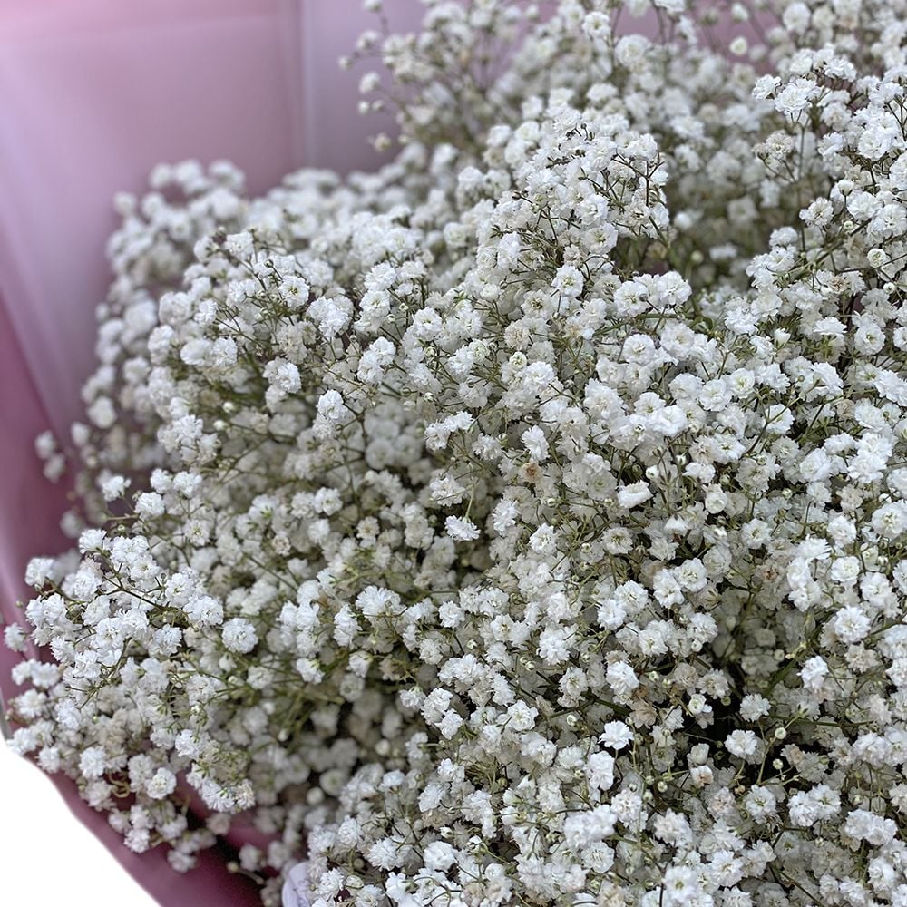 Bouquet of baby\'s breath
