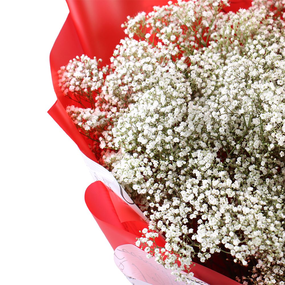 Bouquet of baby\'s breath